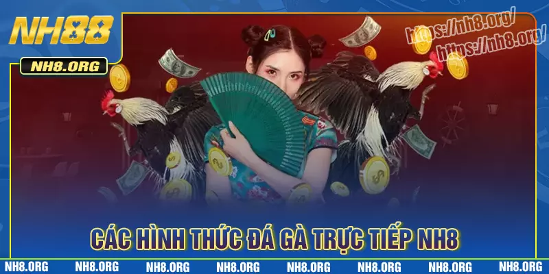 Các hình thức đá gà nh8 được yêu thích hiện nay Các hình thức đá gà nh8 được yêu thích hiện nay