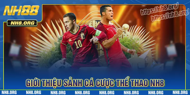 Giới thiệu đôi nét về sảnh thể thao NH8 Giới thiệu đôi nét về sảnh thể thao NH8