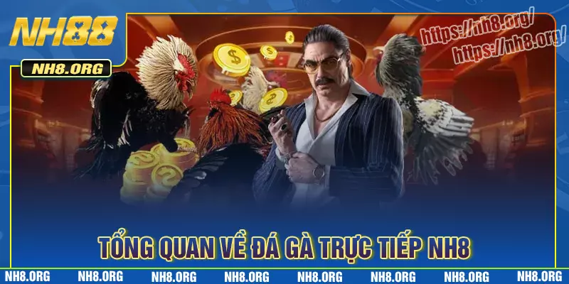 Giới thiệu tổng quan về đá gà nh8 cực hot Giới thiệu tổng quan về đá gà nh8 cực hot