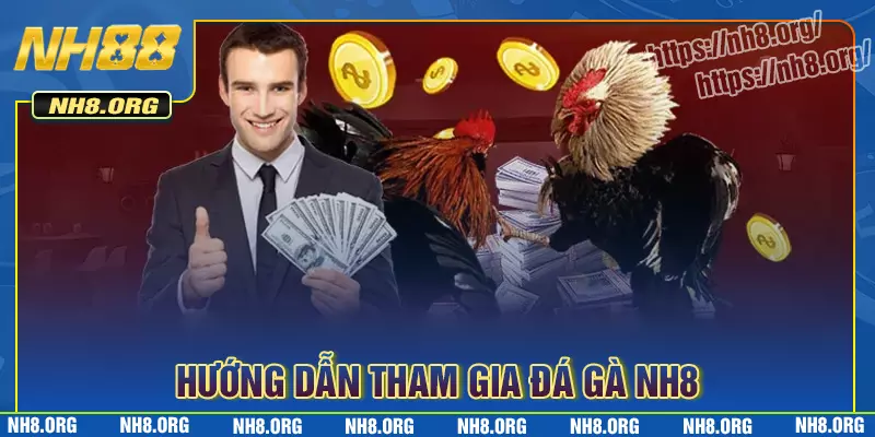 Hướng dẫn tham gia chơi đá gà nh8 đơn giản Hướng dẫn tham gia chơi đá gà nh8 đơn giản